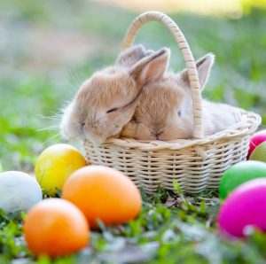 Easter Bank Holidays 2022 - Our offices will be closed - Alison Law Solicitors